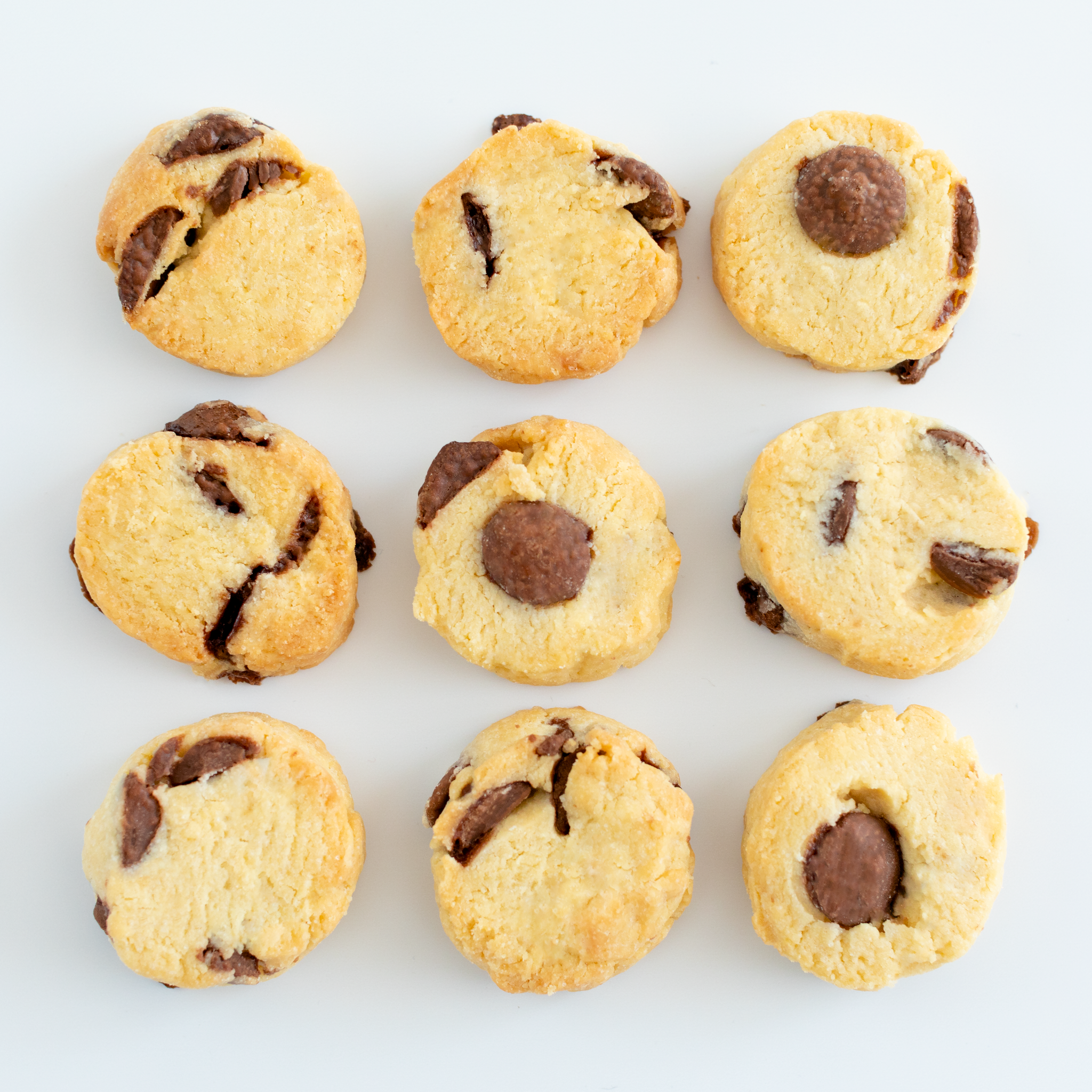 Chocolate Chip Biscuits – Sushezi.co.nz